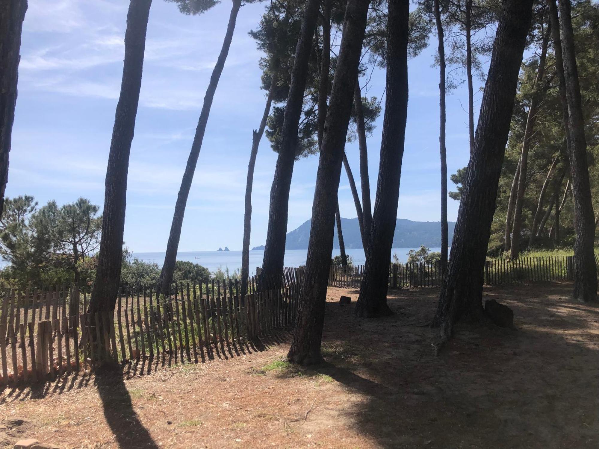 Studio Bord De Mer Et Vue Sur Mer Wifi Offert La Seyne-sur-Mer Exterior photo